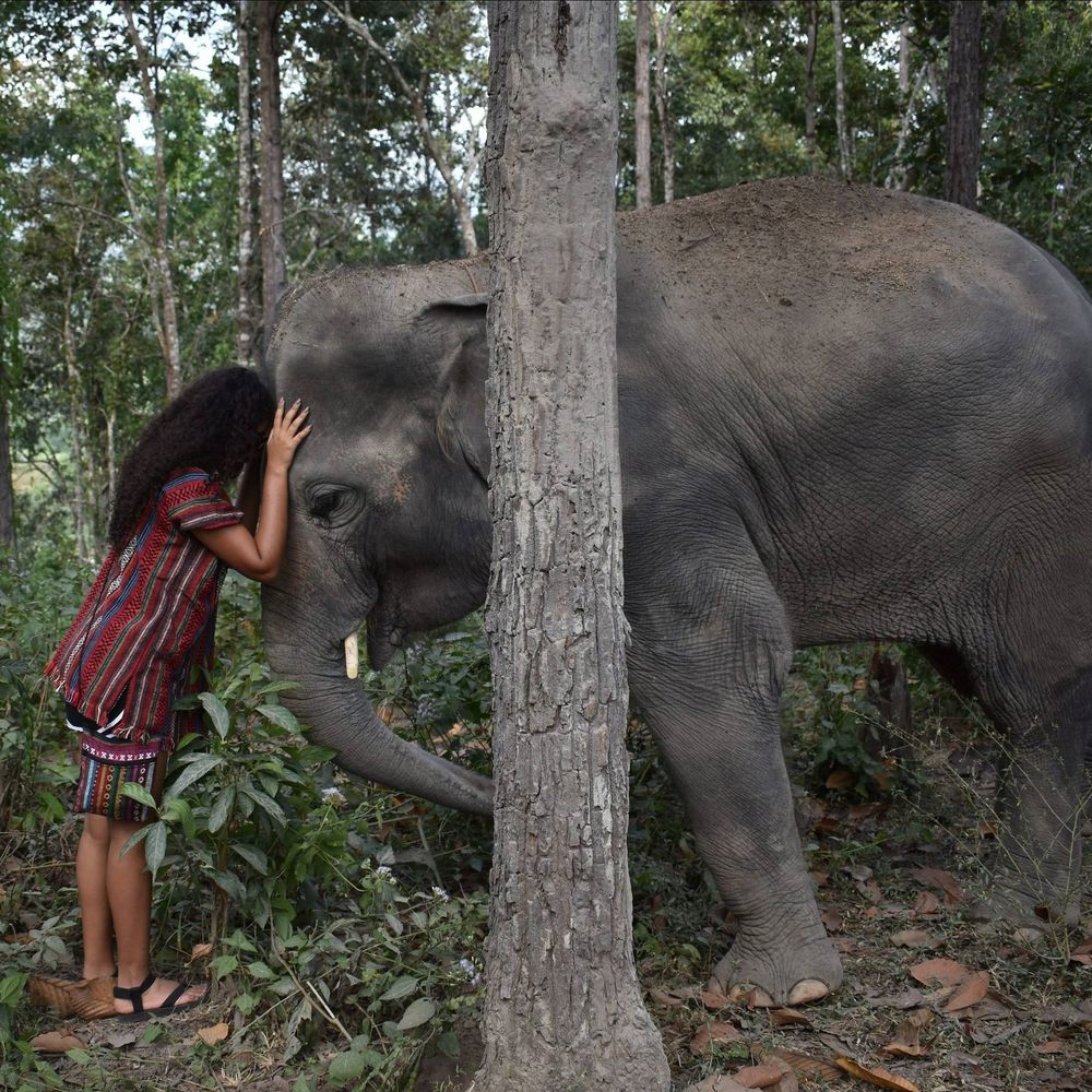 Meet your Posher, Grecia